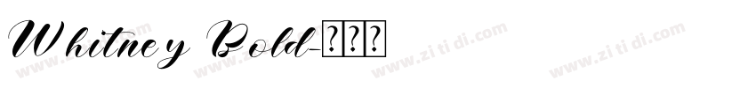 Whitney Bold字体转换 Whitney Bold字体转换